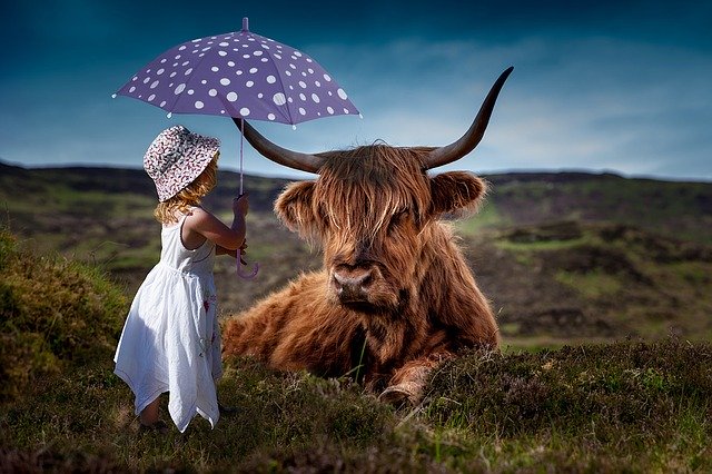 dítě s deštníkem